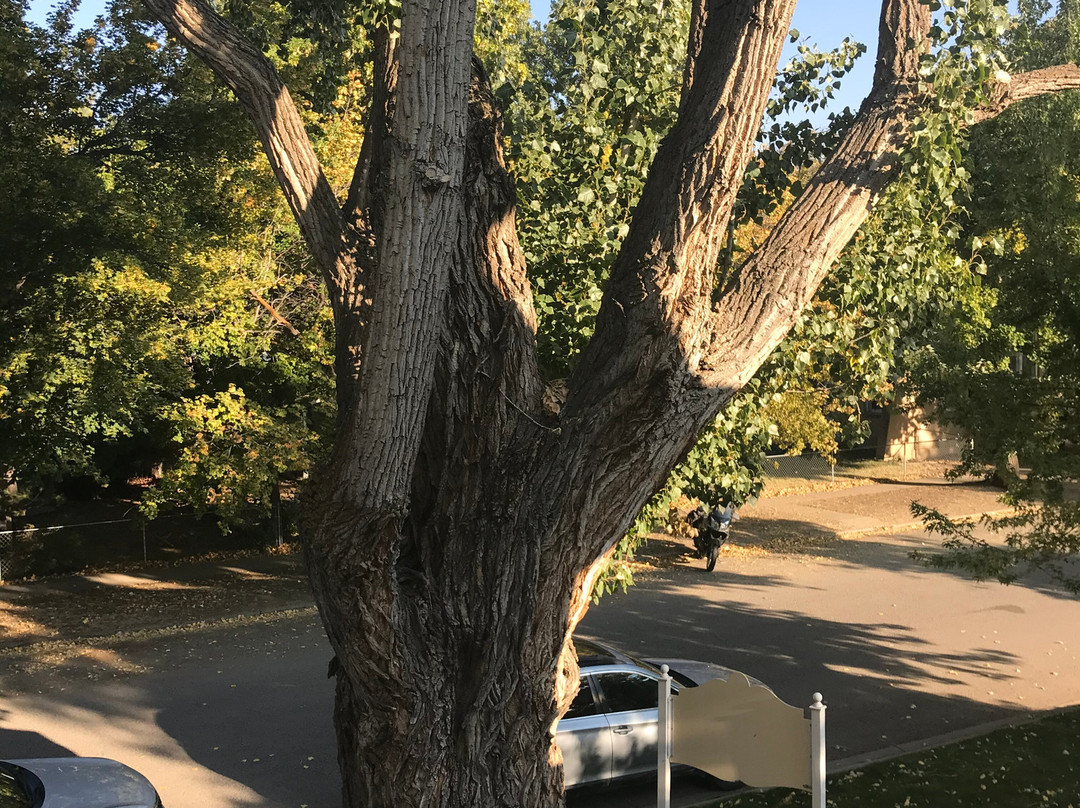 Bross Hotel Bed and Breakfast主图