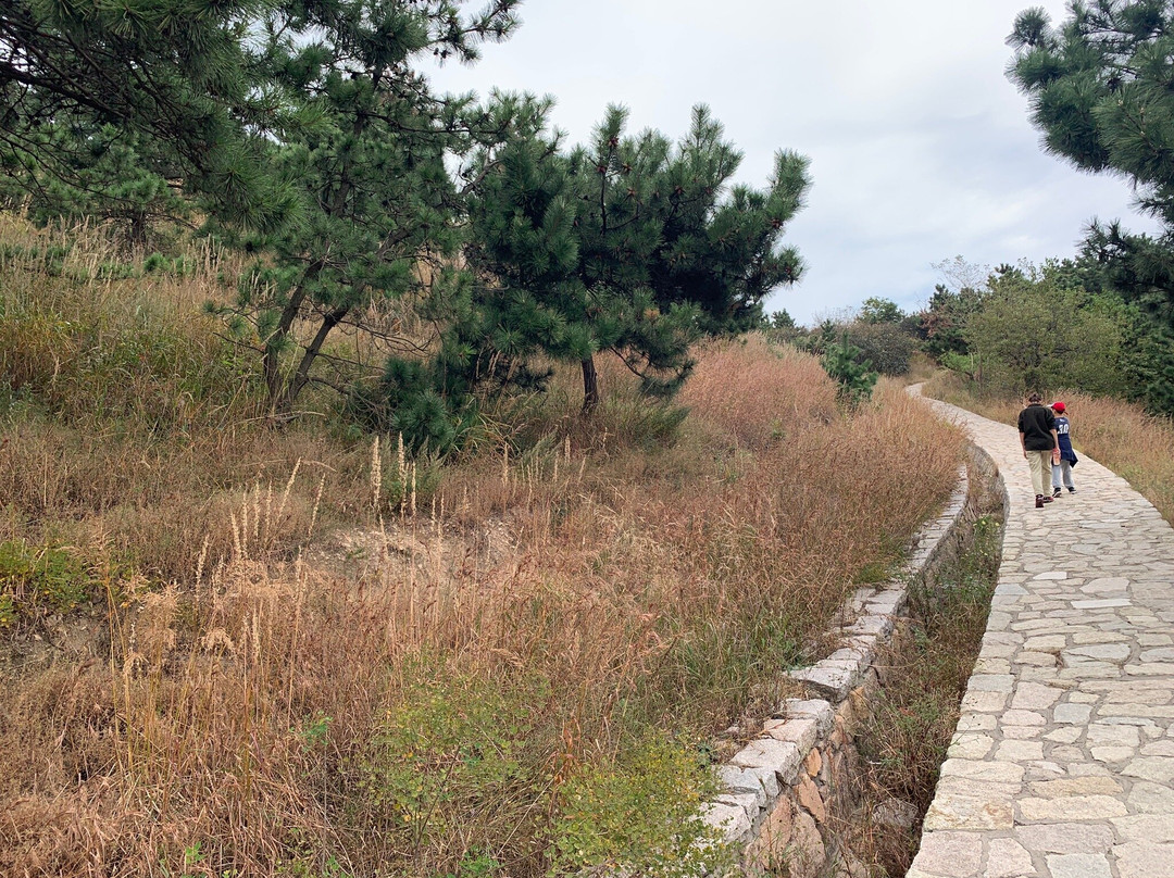 青岛浮山公园-青岛市必去景点