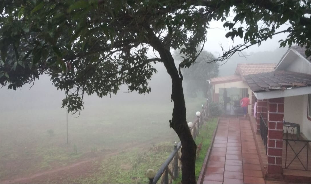 Forest County Resort主图