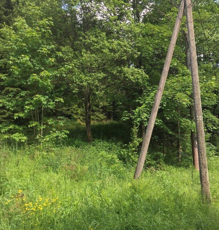 Auersbergkonig-Eibenstock必去景点