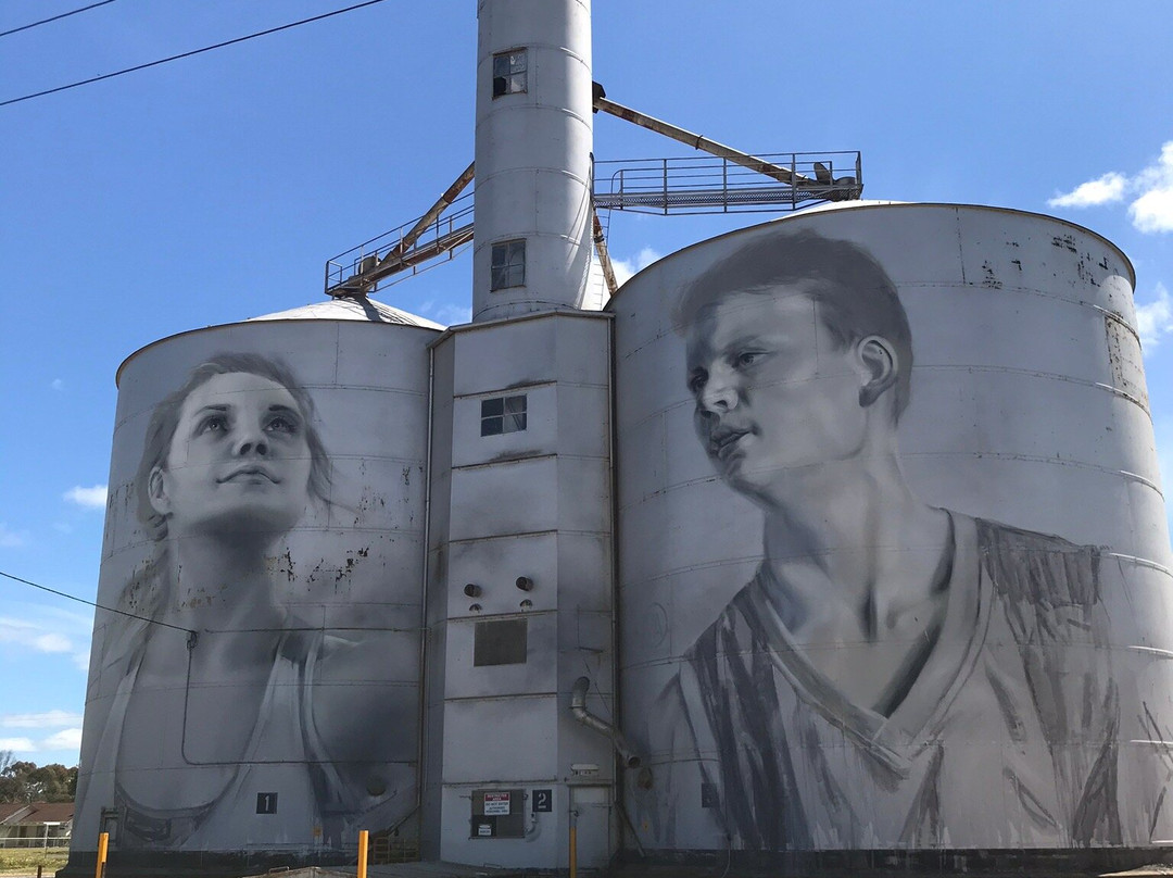 Silo Art Trail-Sheep Hills必去景点