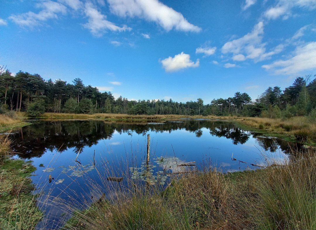 Oisterwijkse Bossen en Vennen-Oisterwijk必去景点