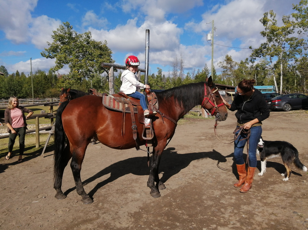 Graham Dunden Ranch Guest Ranch and B&B主图