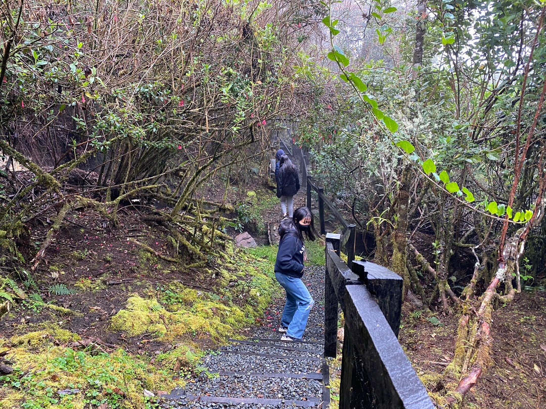 Ruiz Hot Springs-Manizales必去景点