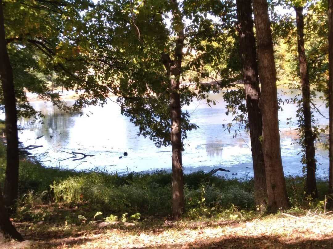 Penguin Park-堪萨斯城必去景点