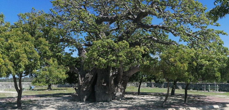 Neduntheevu-贾夫纳必去景点