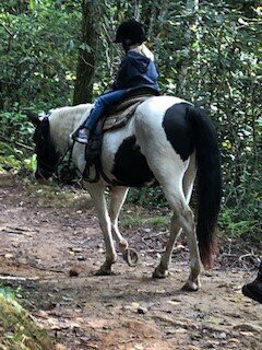 Saddle up trail rides景点图片