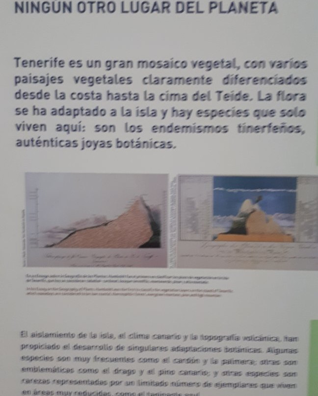 Centro de visitantes Telesforo Bravo-La Orotava必去景点