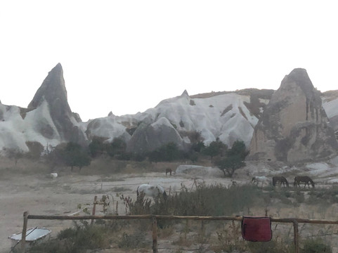 Lucky Horse Ranch-格雷梅必去景点