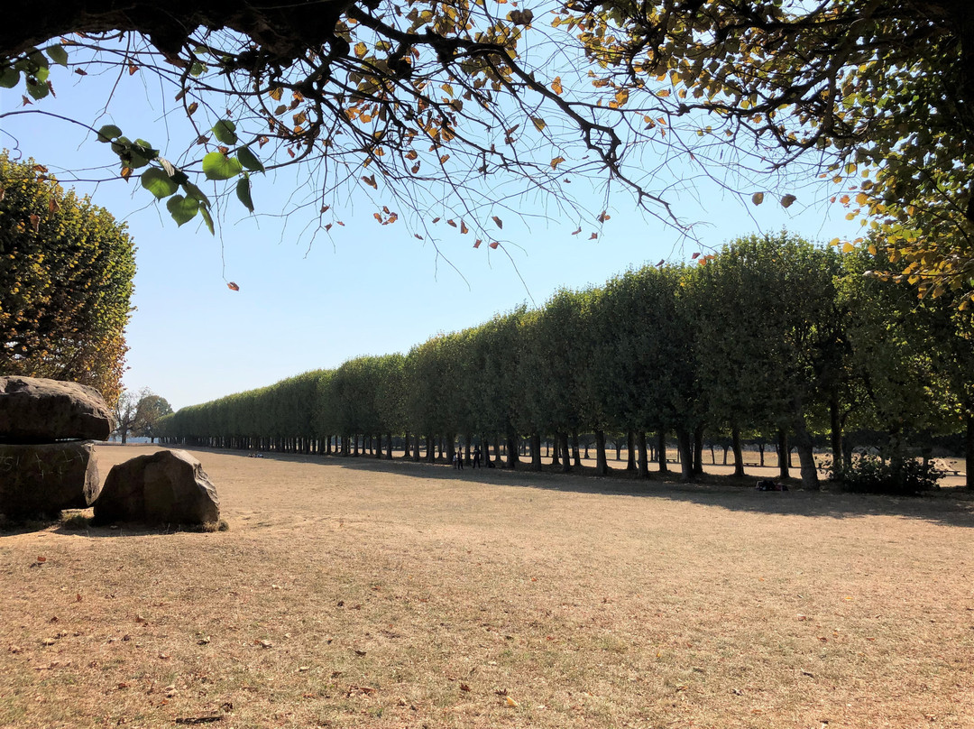 Terrasse de l'Observatoire de Meudon景点图片