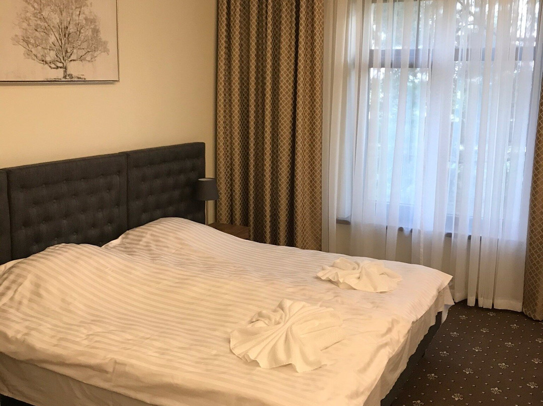 Sodeliskiy Dvaro Sodyba Hotel主图
