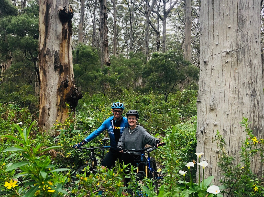 Margaret River Mountain Bike Tours景点图片