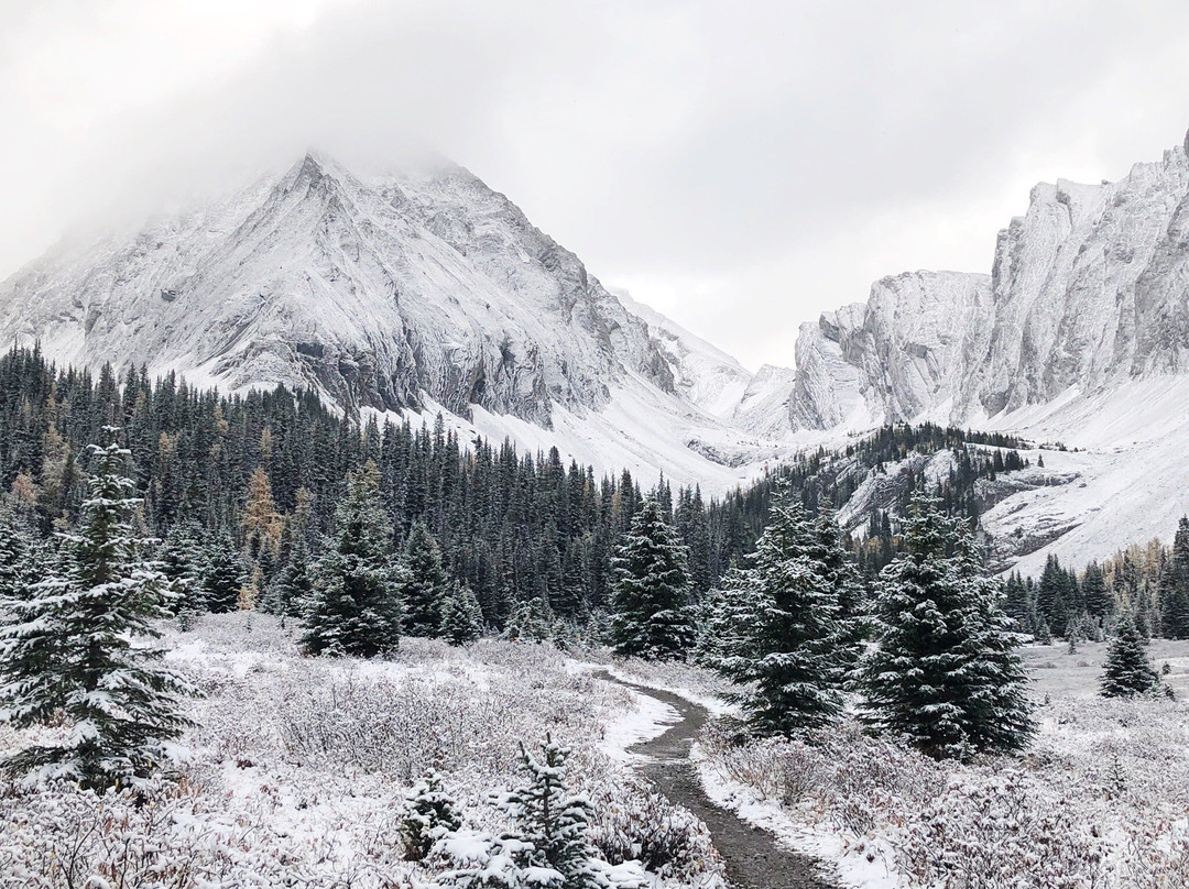 Chester Lake-Peter Lougheed Provincial Park必去景点