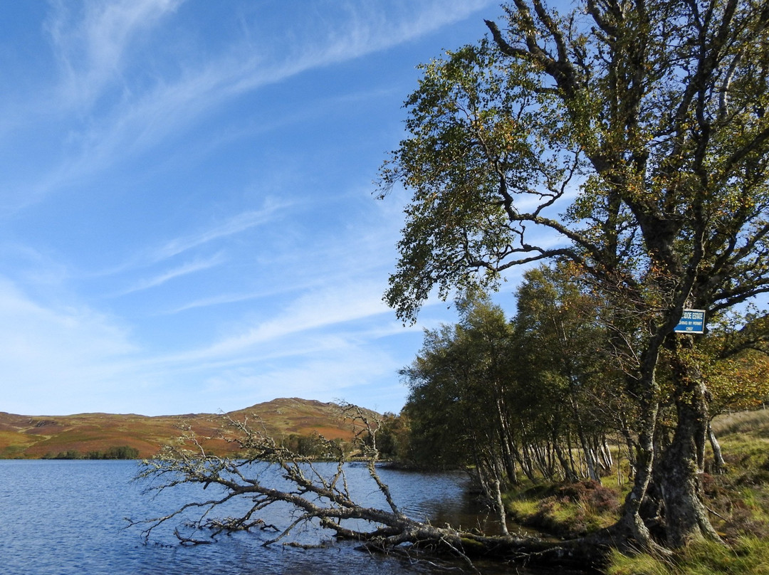 Loch Tarff景点图片