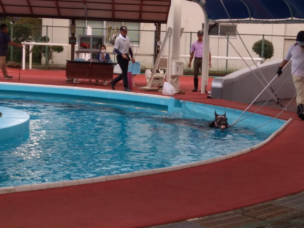 Japan Racing Association Racehourses Research Institute Tokiwa Branch-盘城市必去景点