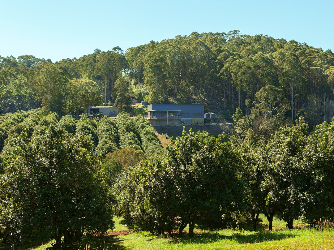 Cape Byron Distillery景点图片