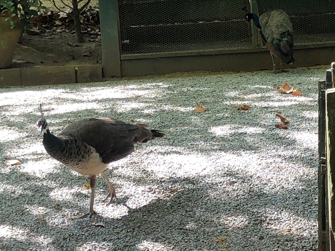 Le Parc Animalier ETXOLA-Sare必去景点