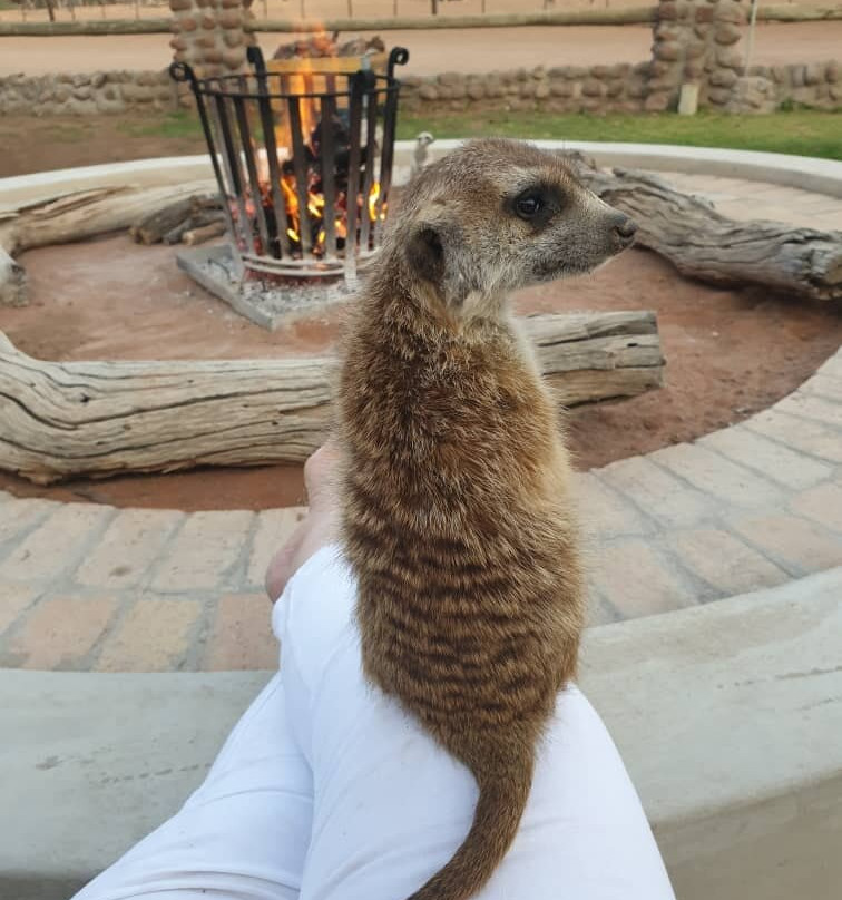 Koedoeberg Guest Farm主图