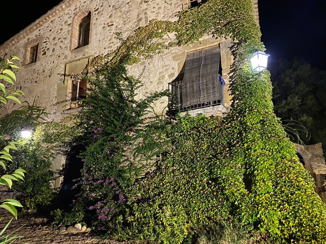 Mas Vilosa Bed & Breakfast主图