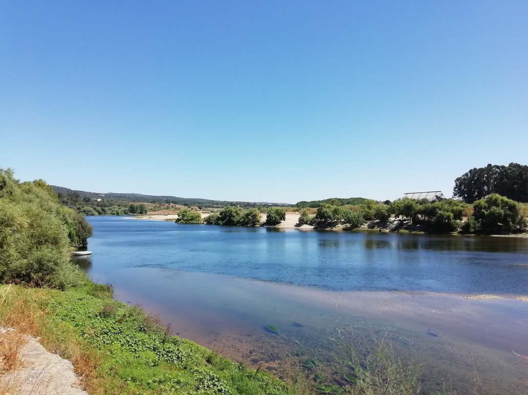 Jardim Da Marginal De Constância景点图片