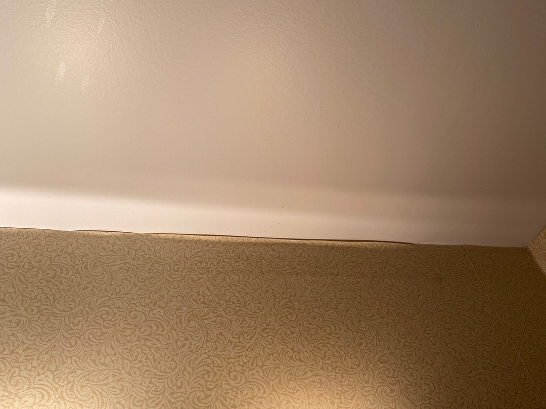 Days Inn by Wyndham Moose Jaw主图