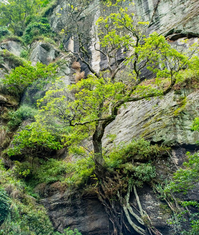 Kolapathana Falls-Mandaramnuwara必去景点