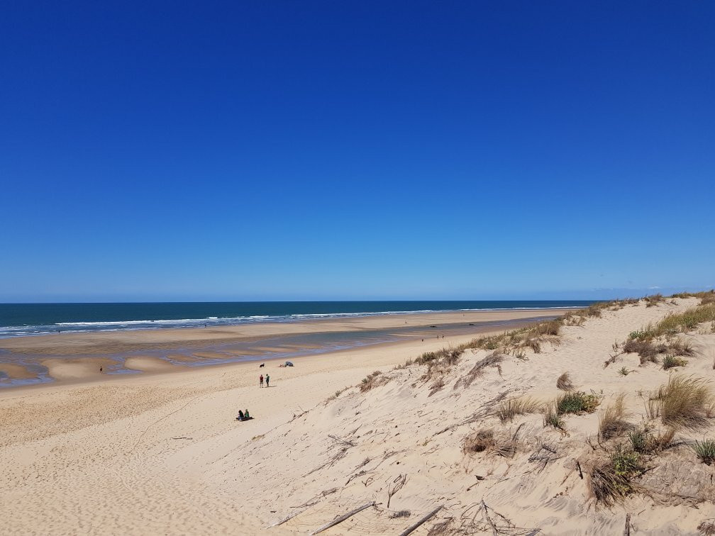 Plage de la Coubre景点图片