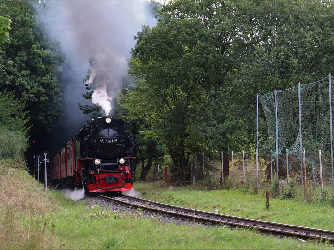 Schierke旅游攻略图片