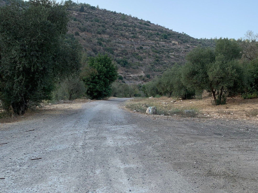 Sataf Nature Trail-耶路撒冷必去景点