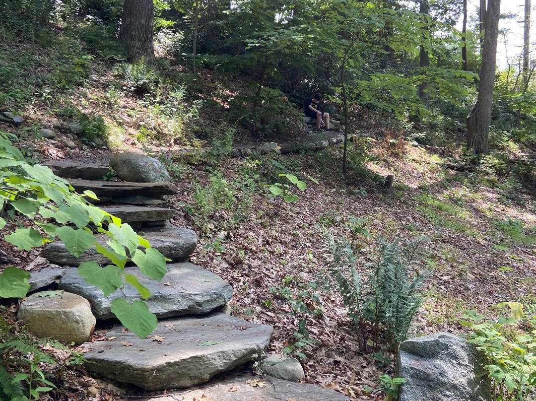 New England Wild Flower Society Garden in the Woods-弗雷明汉必去景点