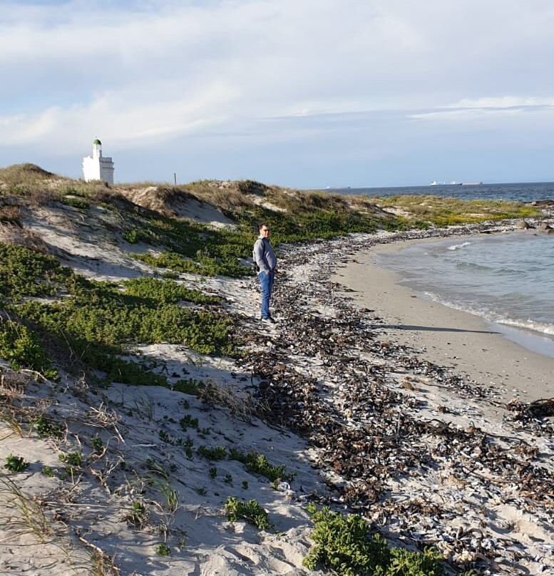 Mussel Cracker主图