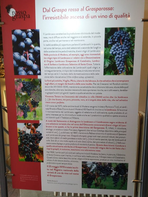 Rosso Graspa - Museo del vino e della società rurale a Levizzano-Levizzano Rangone必去景点