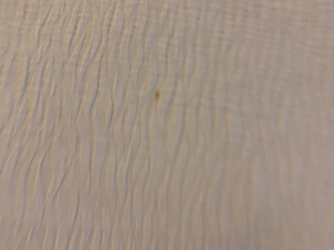 Best Western London Airport Inn & Suites主图