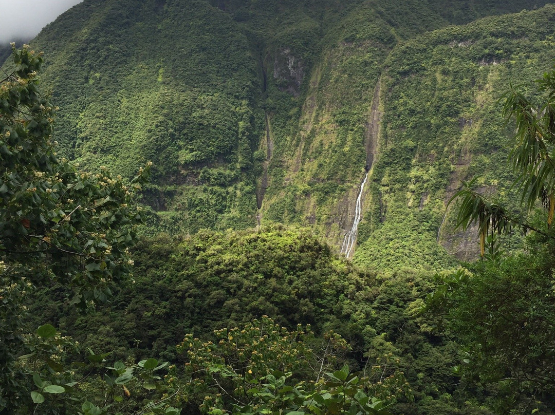 Les Cascades de Takamaka景点图片