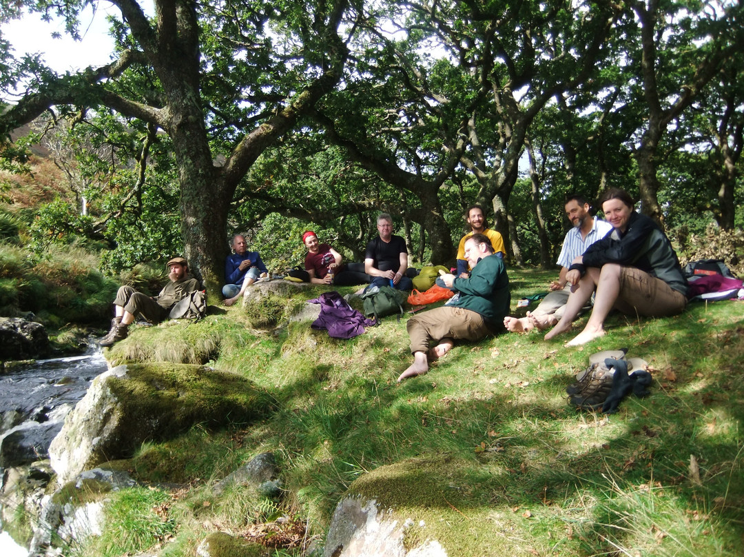 Dartmoor Walks This Way-Ashburton必去景点