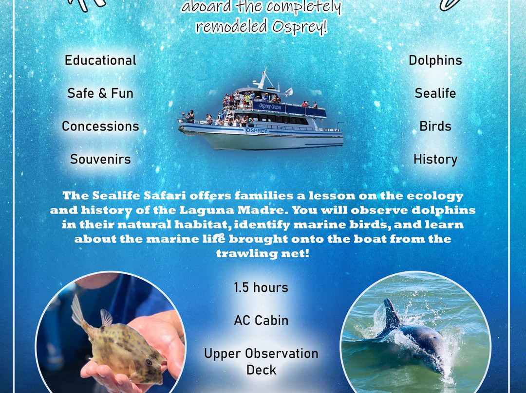 Osprey Cruises-Port Isabel必去景点