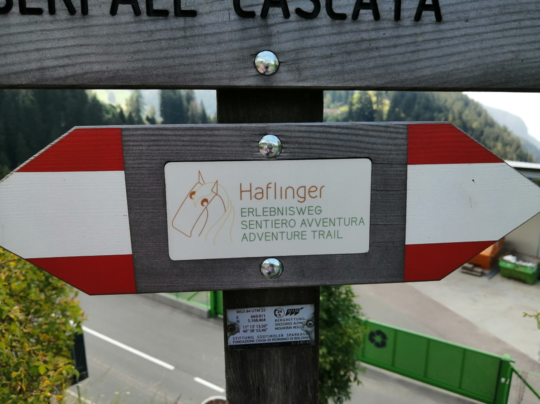 Sentiero d'Avventura del Cavallo Haflinger-Avelengo必去景点