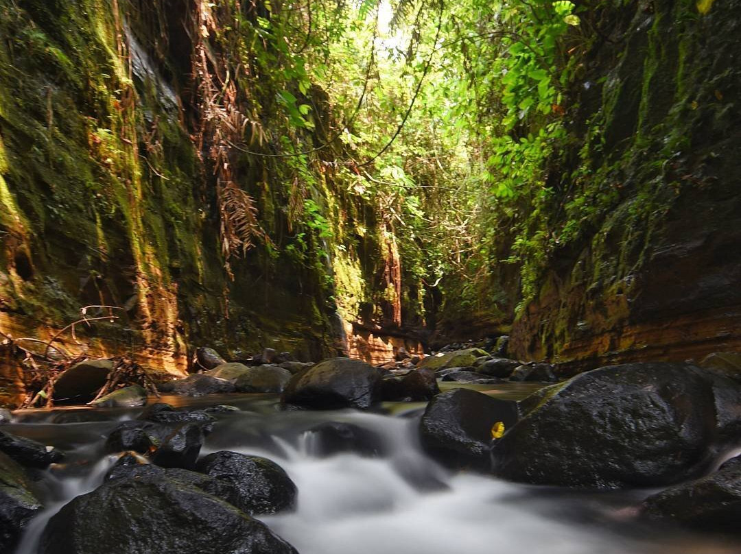 Curug Gendang Waterfall景点图片