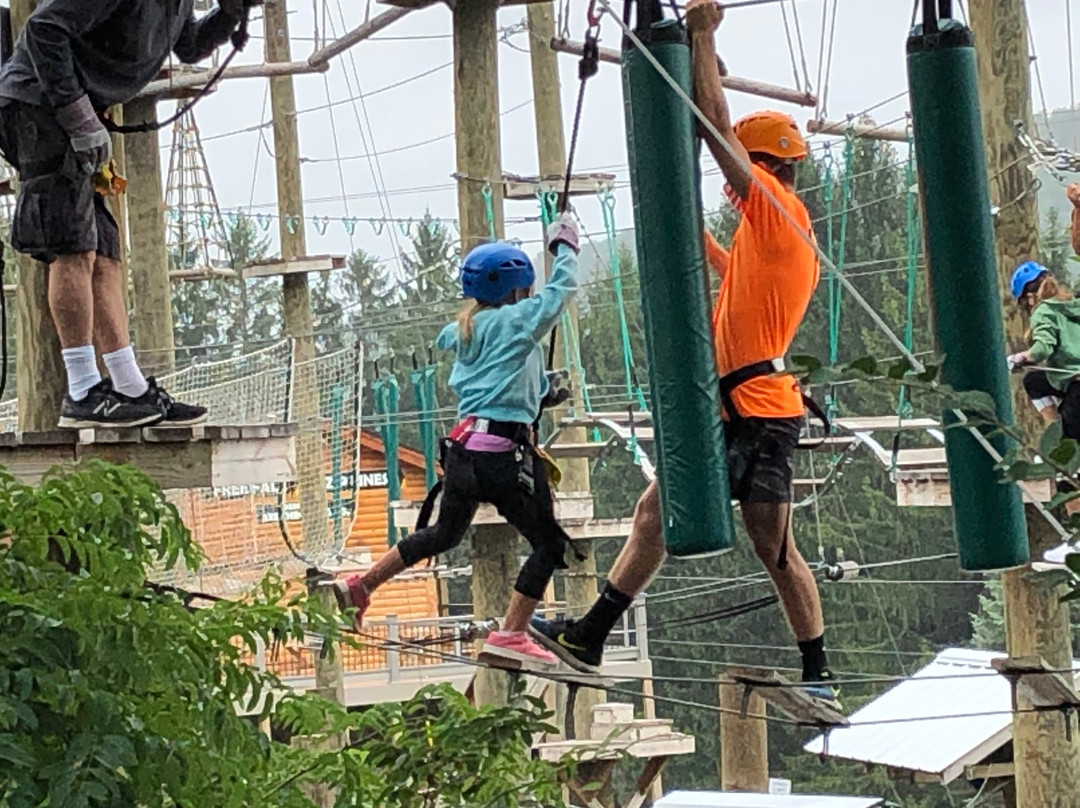 Moneky Business Aerial Adventure Park-McHenry必去景点