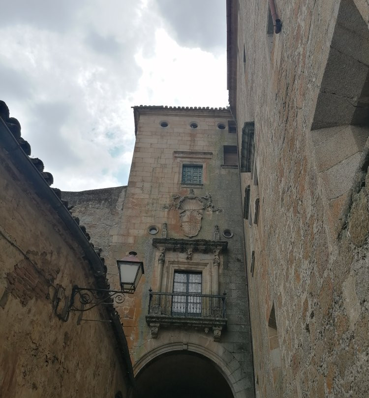 Palacio del Marques de Mirabel景点图片