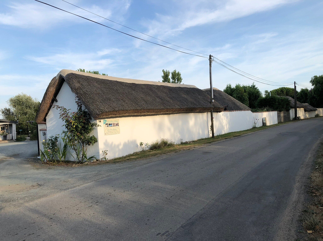 Auxptitsbonheurs主图