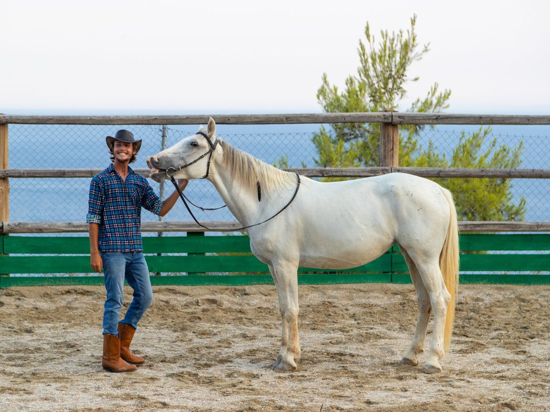 Gregs Spetses Horses-斯派采必去景点