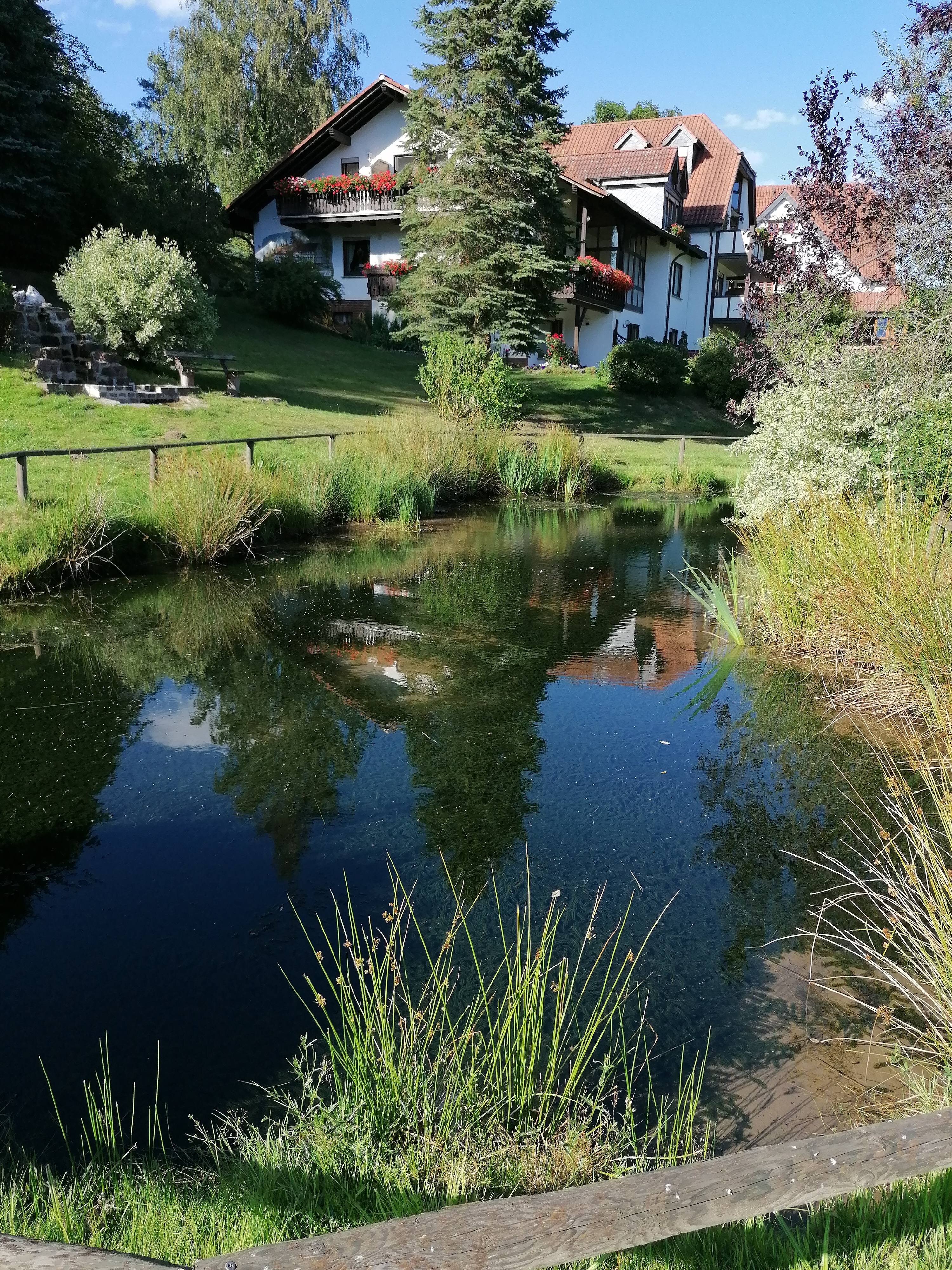 Gasthof und Hotel Sieberzmühle-官方