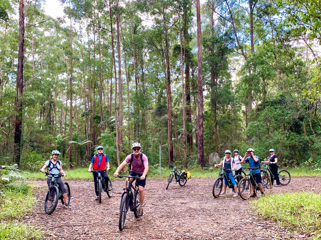 Beyond Byron E Bike Tours - Mullumbimby景点图片