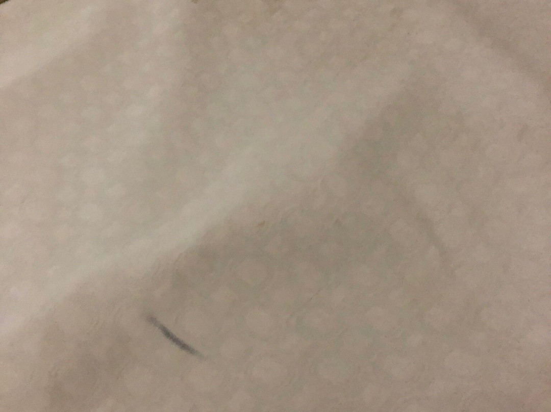 Super 8 by Wyndham Monteagle TN主图