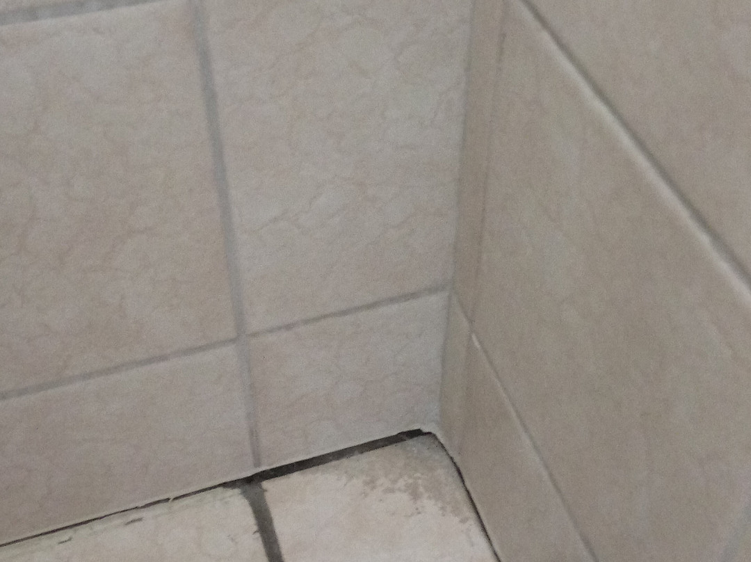 瑞杰布莱克艾姆斯酒店主图