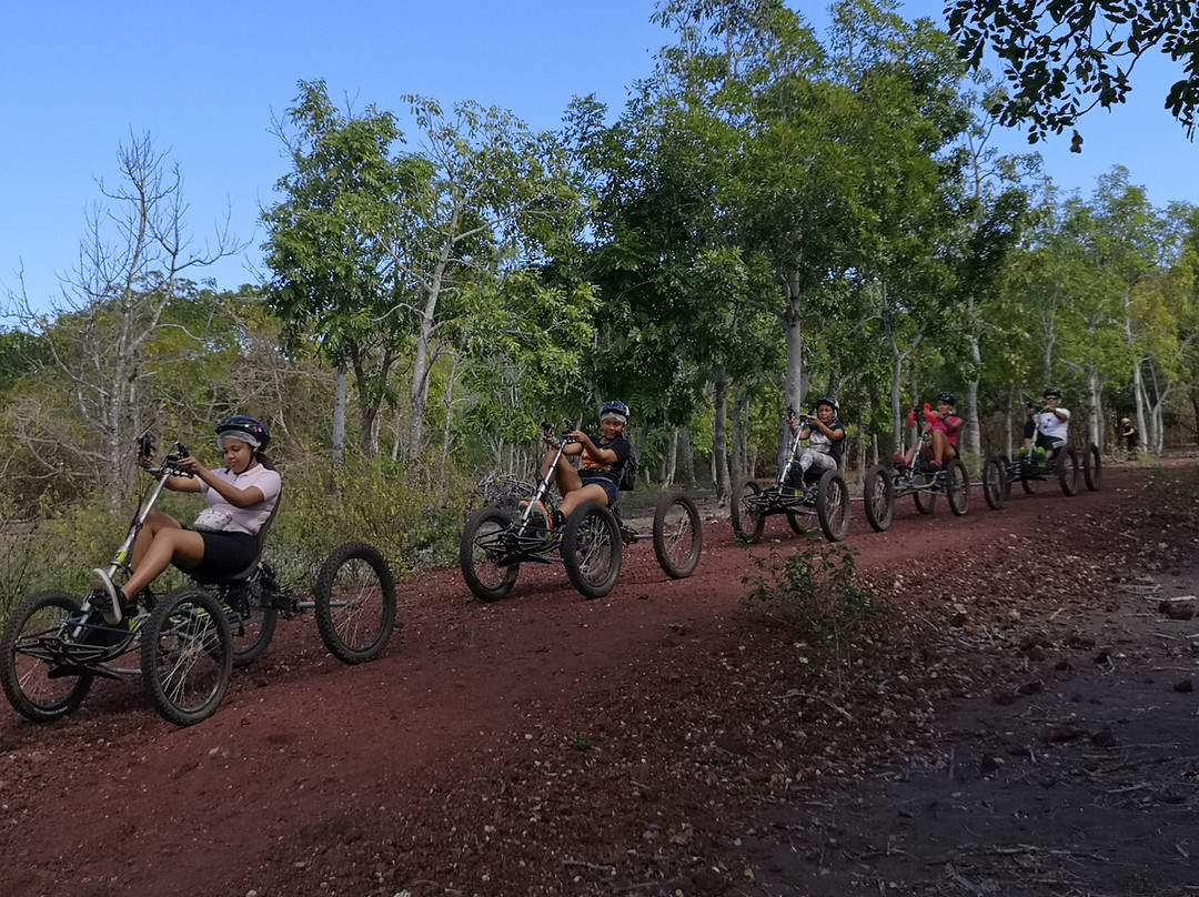 QuadBike Runners QBR景点图片