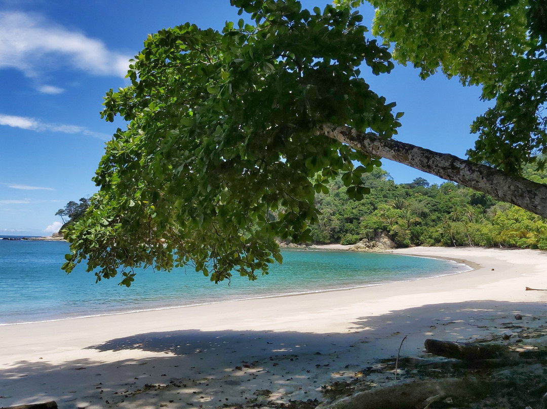 Official Guide Costa Rica-哥斯达黎加安东尼奥国家公园必去景点