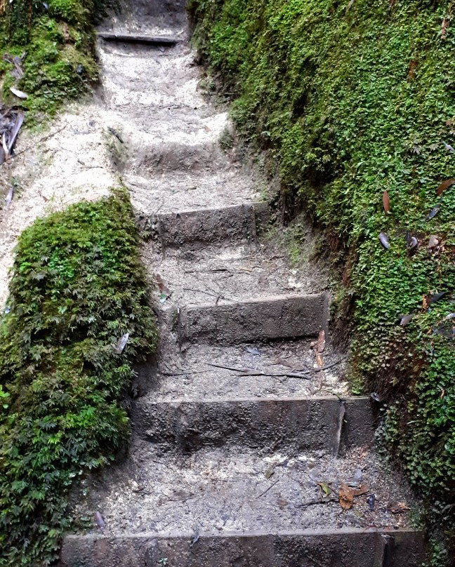 Glen Nayook Reserve-Neerim必去景点