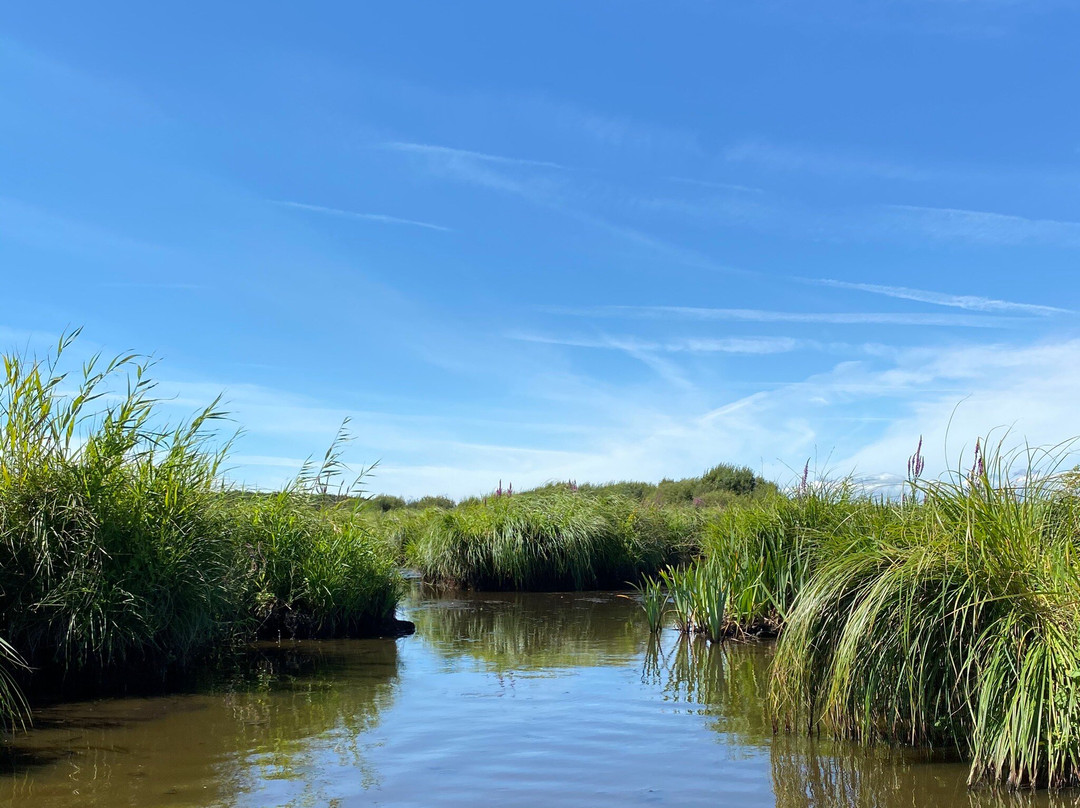 Réserve Naturelle Régionale Marais de Brière - Site Pierre Constant景点图片